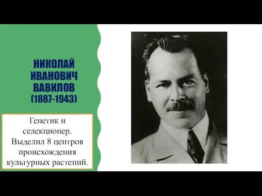 НИКОЛАЙ ИВАНОВИЧ ВАВИЛОВ (1887-1943) Генетик и селекционер. Выделил 8 центров происхождения культурных растений.