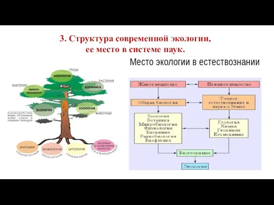 3. Структура современной экологии, ее место в системе наук.