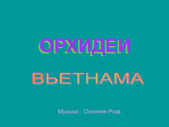 OРХИДЕИ Mузыка : Осенняя Роза ВЬЕТНАMА