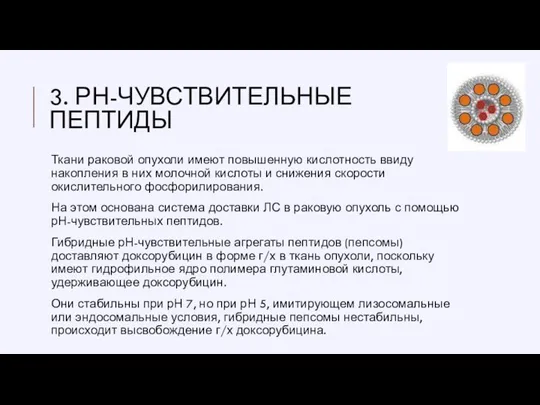 3. РН-ЧУВСТВИТЕЛЬНЫЕ ПЕПТИДЫ Ткани раковой опухоли имеют повышенную кислотность ввиду накопления в