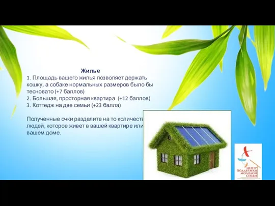 Жилье 1. Площадь вашего жилья позволяет держать кошку, а собаке нормальных размеров