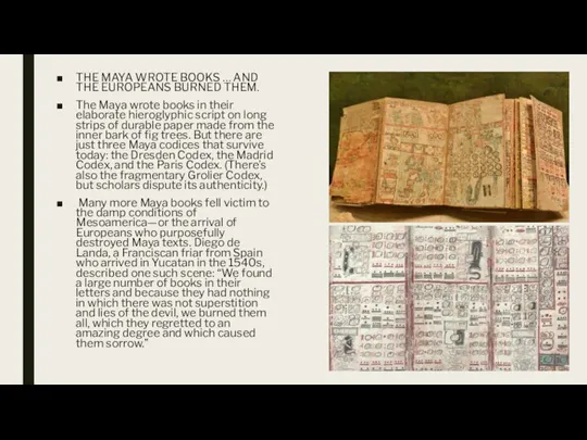 THE MAYA WROTE BOOKS … AND THE EUROPEANS BURNED THEM. The Maya