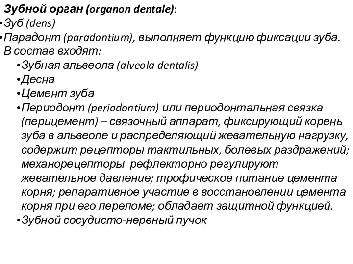 Зубной орган (organon dentale): Зуб (dens) Парадонт (paradontium), выполняет функцию фиксации зуба.