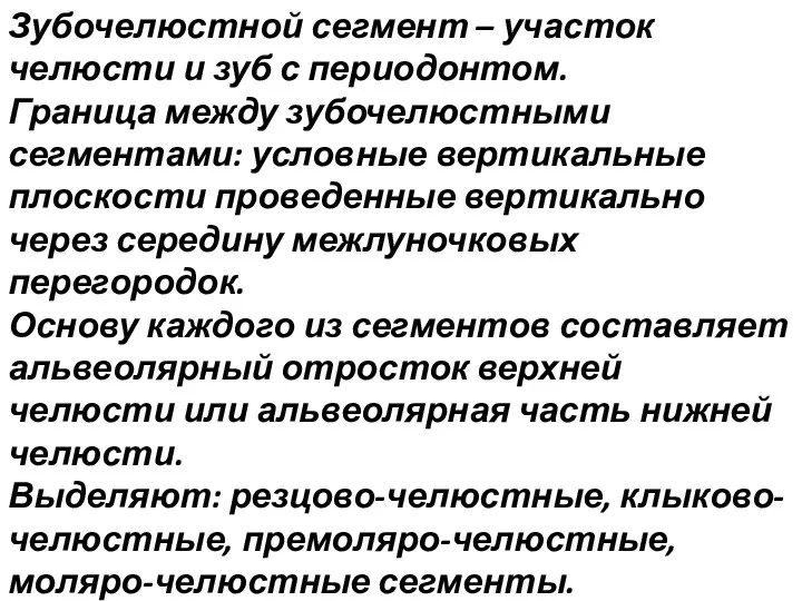 Зубочелюстной сегмент – участок челюсти и зуб с периодонтом. Граница между зубочелюстными