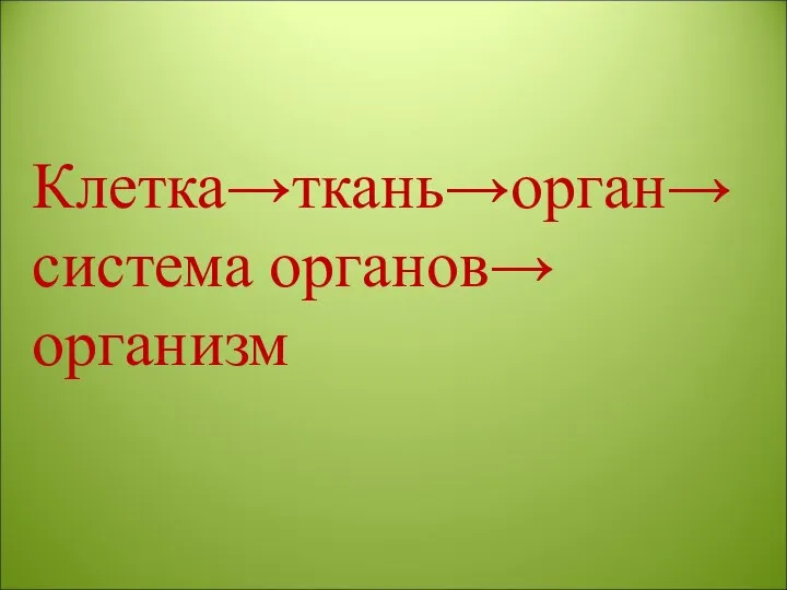 Клетка→ткань→орган→система органов→ организм