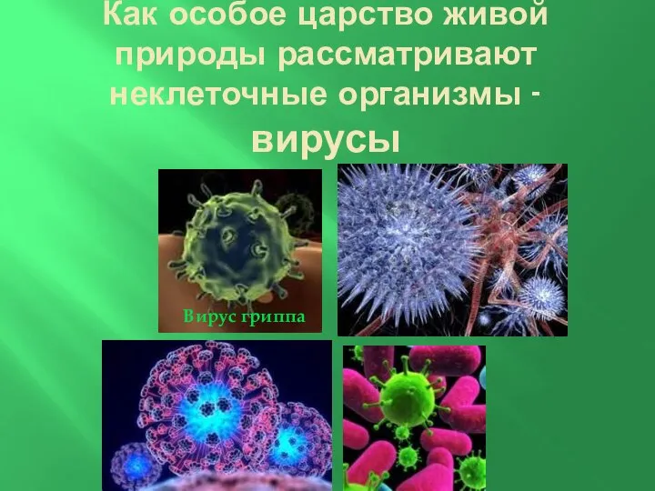 Как особое царство живой природы рассматривают неклеточные организмы - вирусы Вирус гриппа