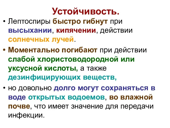 Устойчивость. Лептоспиры быстро гибнут при высыхании, кипячении, действии солнечных лучей. Моментально погибают