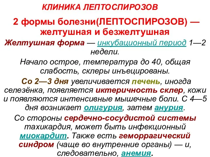 КЛИНИКА ЛЕПТОСПИРОЗОВ 2 формы болезни(ЛЕПТОСПИРОЗОВ) — желтушная и безжелтушная Желтушная форма —