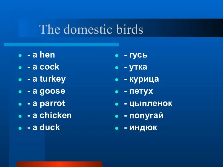 The domestic birds - a hen - a cock - a turkey