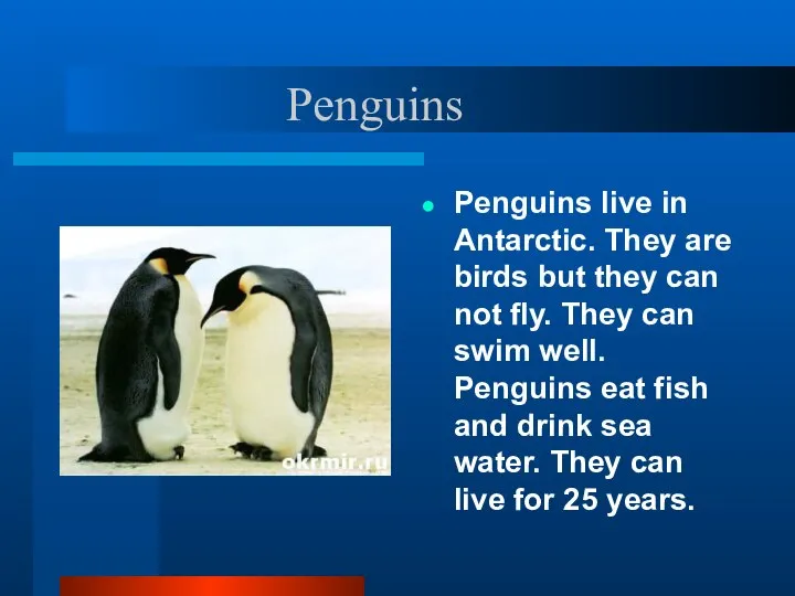 Penguins Penguins live in Antarctic. They are birds but they can not