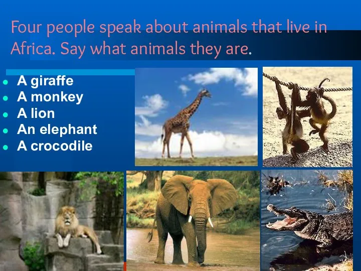 Four people speak about animals that live in Africa. Say what animals