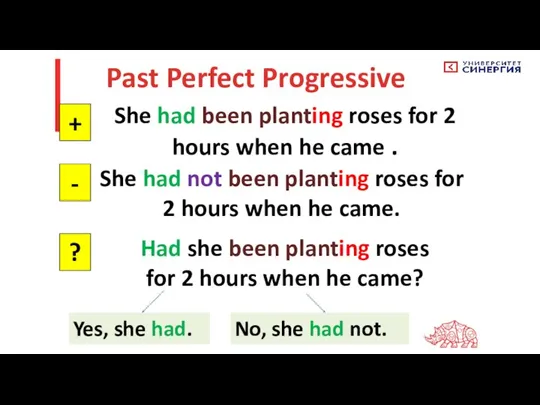 Past Perfect Progressive She had been planting roses for 2 hours when