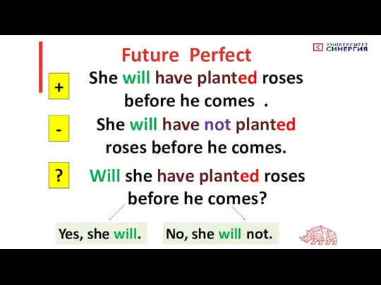 Future Perfect She will have planted roses before he comes . +