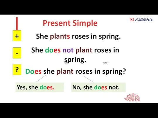 текст текст Present Simple She plants roses in spring. + - ?