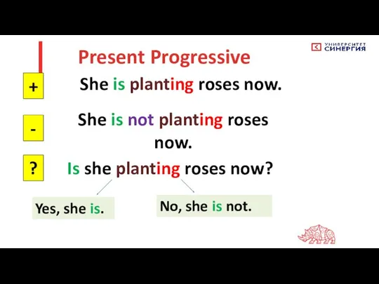 Present Progressive She is planting roses now. + - ? She is