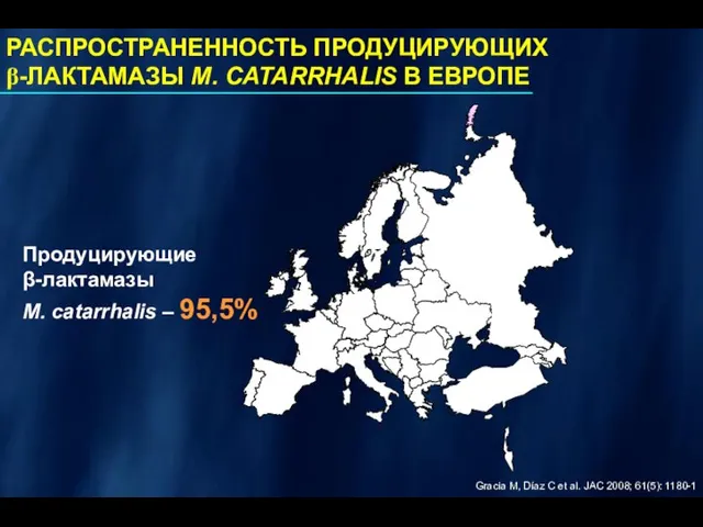 Продуцирующие β-лактамазы M. catarrhalis – 95,5% РАСПРОСТРАНЕННОСТЬ ПРОДУЦИРУЮЩИХ β-ЛАКТАМАЗЫ M. CATARRHALIS В