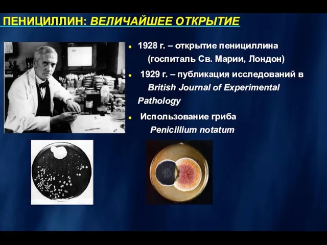 ПЕНИЦИЛЛИН: ВЕЛИЧАЙШЕЕ ОТКРЫТИЕ 1928 г. – открытие пенициллина (госпиталь Св. Марии, Лондон)