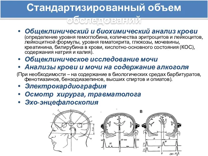 Общеклинический и биохимический анализ крови (определение уровня гемоглобина, количества эритроцитов и лейкоцитов,