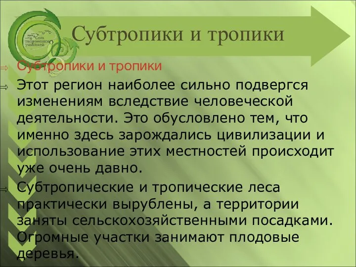 Субтропики и тропики Субтропики и тропики Этот регион наиболее сильно подвергся изменениям