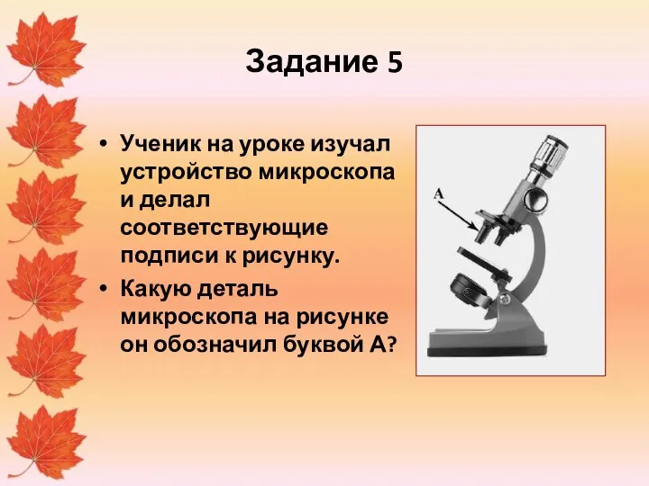 Задание 5 Ученик на уроке изучал устройство микроскопа и делал соответствующие подписи