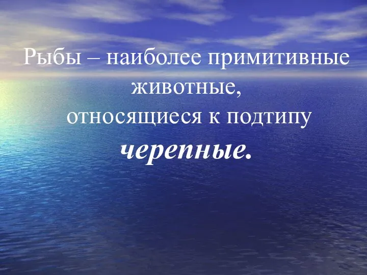 Рыбы – наиболее примитивные животные, относящиеся к подтипу черепные.