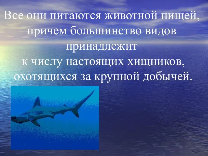 Все они питаются животной пищей, причем большинство видов принадлежит к числу настоящих