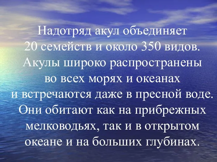 Надотряд акул объединяет 20 семейств и около 350 видов. Акулы широко распространены