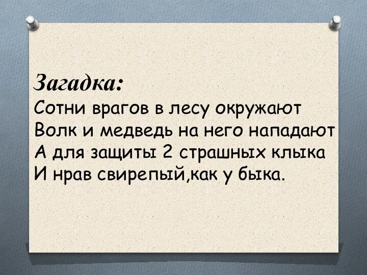 Загадка: Сотни врагов в лесу окружают Волк и медведь на него нападают