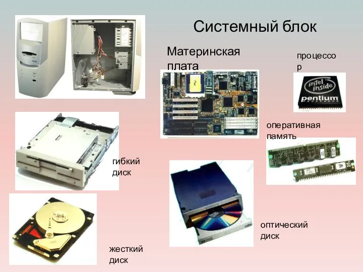 Системный блок Материнская плата процессор оперативная память жесткий диск гибкий диск оптический диск