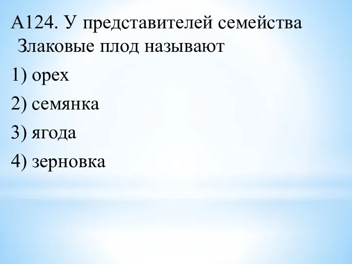 А124. У представителей семейства Злаковые плод называют 1) орех 2) семянка 3) ягода 4) зерновка