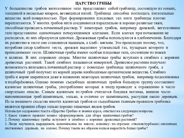 ЦАРСТВО ГРИБЫ У большинства грибов вегетативное тело представляет собой грибницу, состоящую из