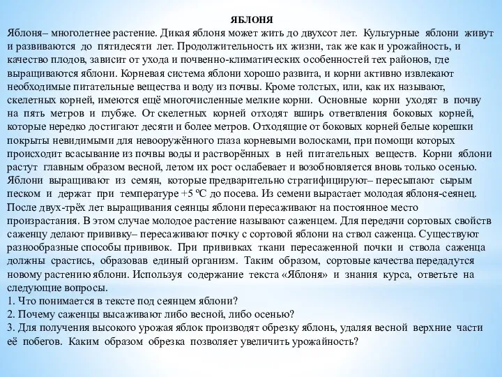 ЯБЛОНЯ Яблоня– многолетнее растение. Дикая яблоня может жить до двухсот лет. Культурные