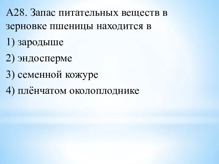 А28. Запас питательных веществ в зерновке пшеницы находится в 1) зародыше 2)