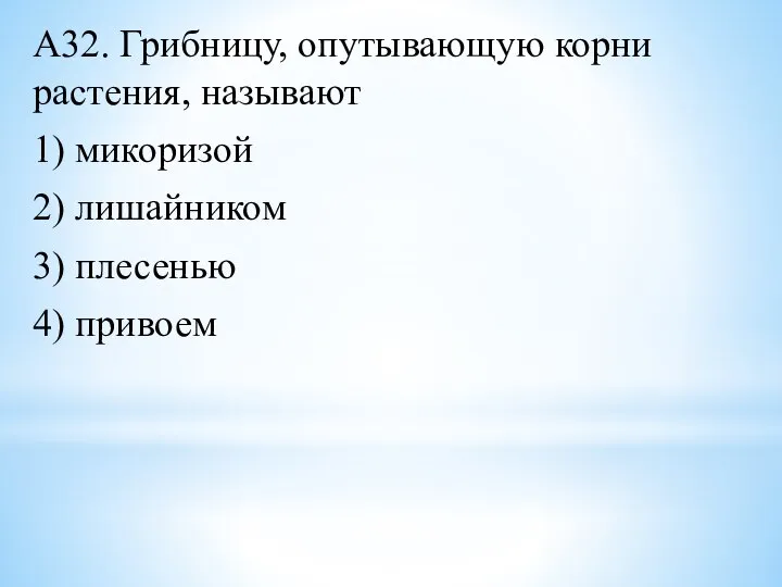 А32. Грибницу, опутывающую корни растения, называют 1) микоризой 2) лишайником 3) плесенью 4) привоем