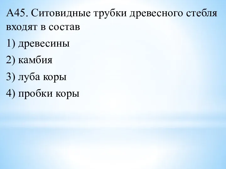 А45. Ситовидные трубки древесного стебля входят в состав 1) древесины 2) камбия