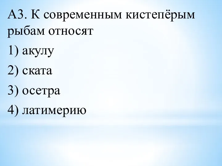 А3. К современным кистепёрым рыбам относят 1) акулу 2) ската 3) осетра 4) латимерию