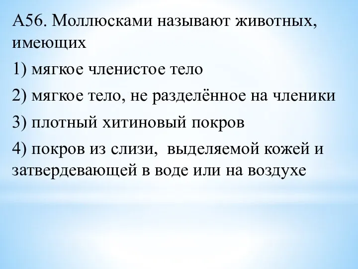 А56. Моллюсками называют животных, имеющих 1) мягкое членистое тело 2) мягкое тело,