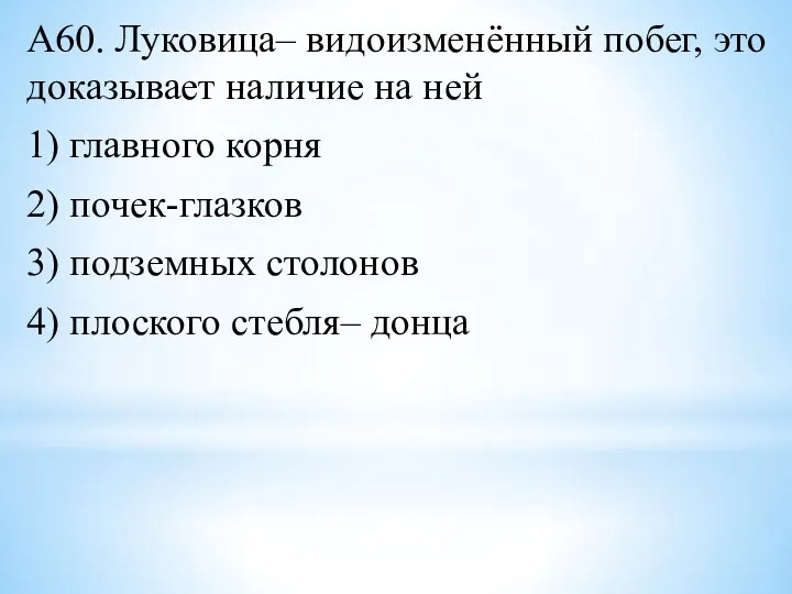 А60. Луковица– видоизменённый побег, это доказывает наличие на ней 1) главного корня