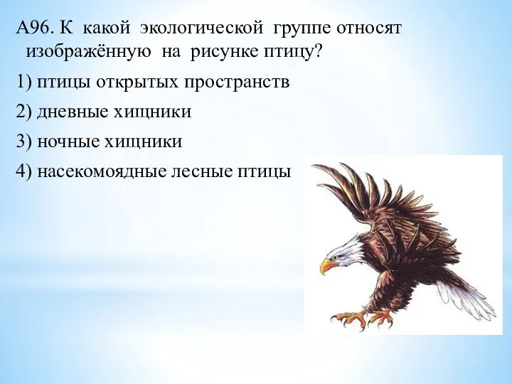 А96. К какой экологической группе относят изображённую на рисунке птицу? 1) птицы