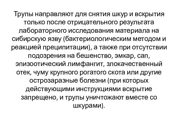 Трупы направляют для снятия шкур и вскрытия только после отрицательного результата лабораторного