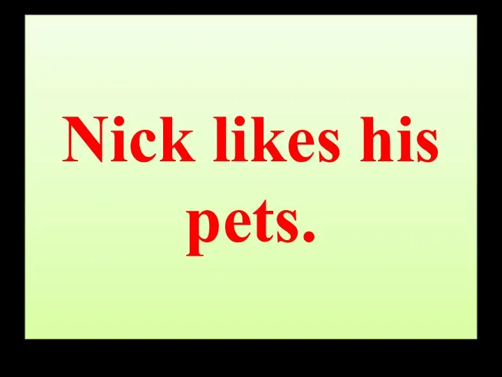 Nick likes his pets.
