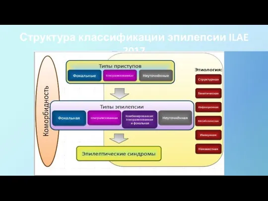 Структура классификации эпилепсии ILAE 2017