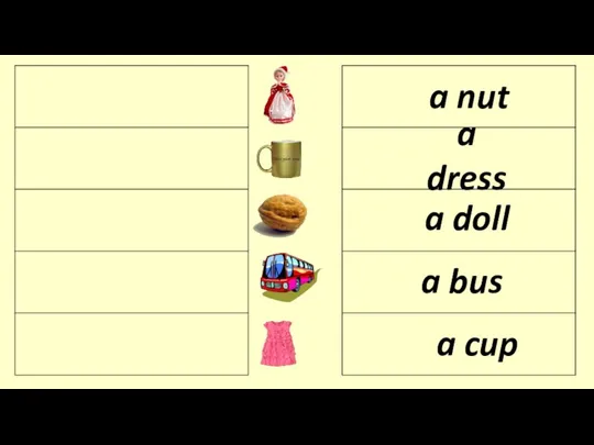 a nut a bus a cup a doll a dress