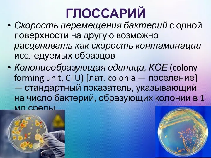 ГЛОССАРИЙ Скорость перемещения бактерий с одной поверхности на другую возможно расценивать как