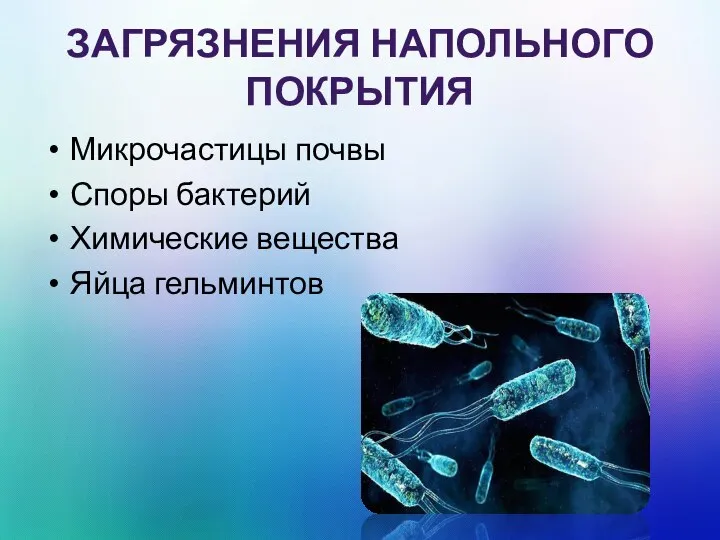 ЗАГРЯЗНЕНИЯ НАПОЛЬНОГО ПОКРЫТИЯ Микрочастицы почвы Споры бактерий Химические вещества Яйца гельминтов