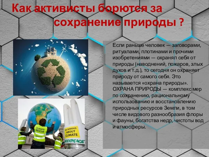 Как активисты борются за сохранение природы ? Если раньше человек — заговорами,