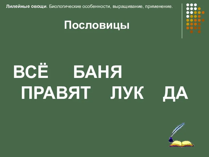 Пословицы ВСЁ БАНЯ ПРАВЯТ ЛУК ДА Лилейные овощи. Биологические особенности, выращивание, применение.