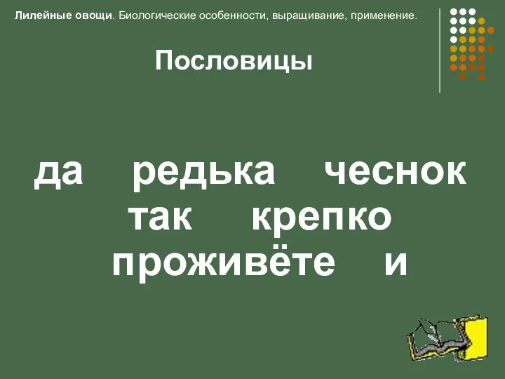 Пословицы да редька чеснок так крепко проживёте и Лилейные овощи. Биологические особенности, выращивание, применение.