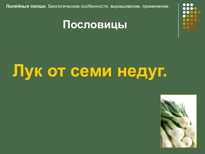 Пословицы Лук от семи недуг. Лилейные овощи. Биологические особенности, выращивание, применение.