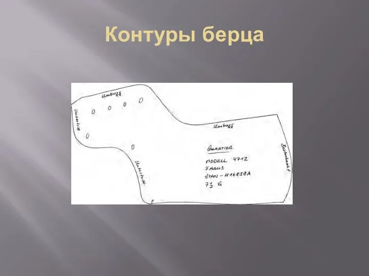 Контуры берца